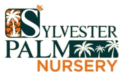 Sylvester Palm Nursery